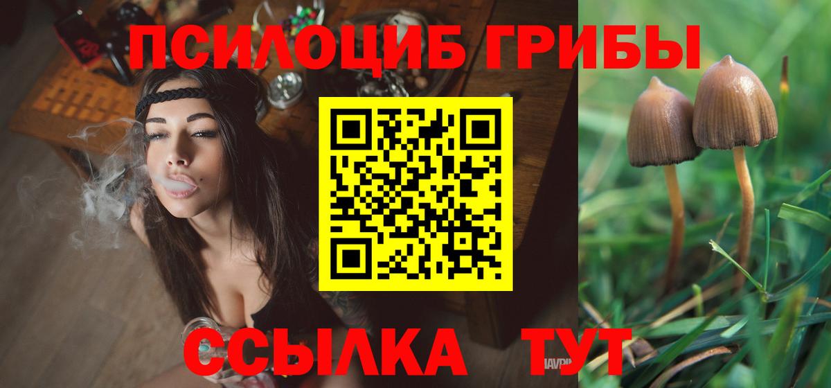 Псилоцибиновые грибы Cubensis  Вход с VPN  закладки  Псилоцибиновые грибы Psilocybe  Северобайкальск 